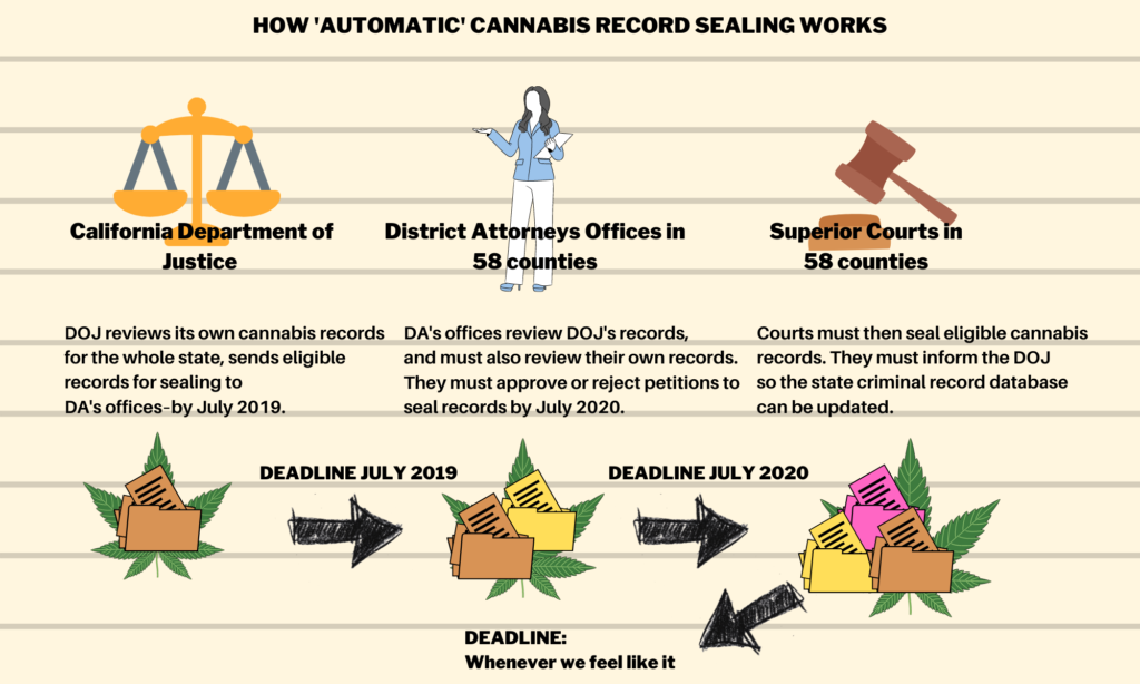 Automatic-cannabis-sealing-1024x614.png