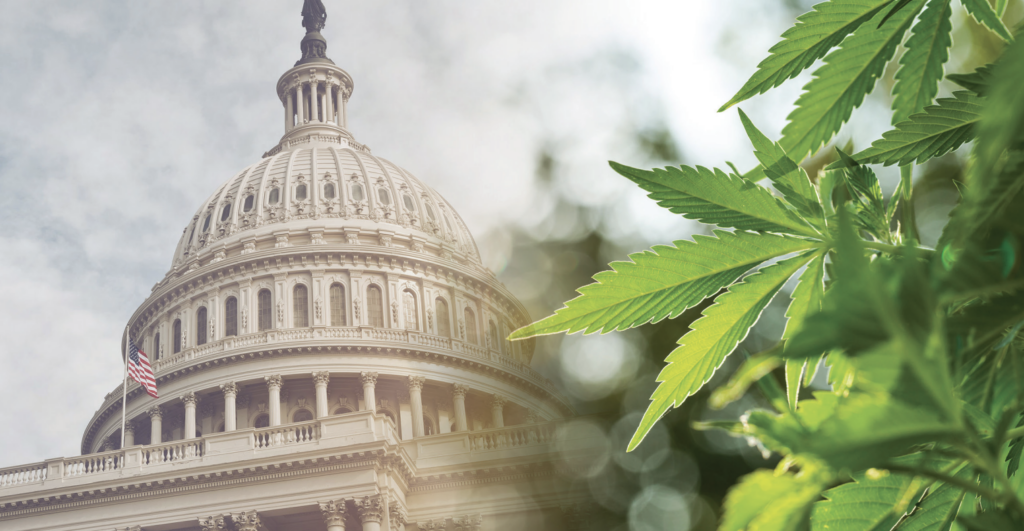 DC Bill Would Pay Out Cannabis Reparations—If Feds Lift Ban